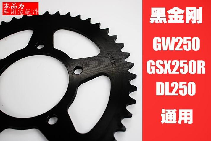 适用于gw250gsx250rdl250大小飞链轮齿轮后牙盘静音油封链条套链gw250